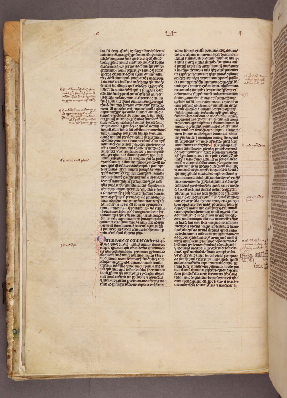 Folio 11 verso